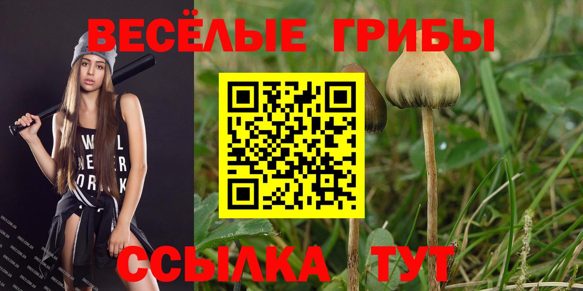 Псилоцибиновые грибы GOLDEN TEACHER Вязники